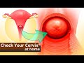 🔍 How to Check Your Cervix at Home 🖐️ | Safely Find Cervix for Fertility, Ovulation \u0026 Pregnancy