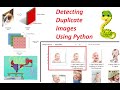 Removing Duplicate Images in Python Part 1 (AI Camp)