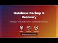 🛡️ Database Backup and Recovery: A Beginner's Guide to Data Protection