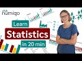 What is Statistics? A Beginner's Guide to Statistics (Data Analytics)!