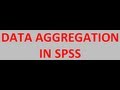 How to aggregate data in SPSS (Data Aggregation)