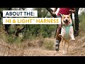 About the Hi \u0026 Light™ Harness