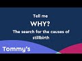 Our Research: What Causes Stillbirth | Tommy's