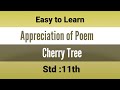 Appreciation of poem 'Cherry Tree' Std-11th Sub - English