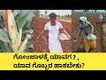 ಗೋಂಜೋಳ , ಮೆಕ್ಕೆಜೋಳ ಕ್ಕೆ ಯಾವಾಗ ಗೊಬ್ಬರ ಹಾಕಬೇಕು ? ಯಾವ ಗೊಬ್ಬರ ಕೊಡಬೇಕು ಸಂಪೂರ್ಣ ಮಾಹಿತಿ |