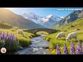 Beautiful Relaxing Music for the Soul ☘️ Calming Music \u0026 Peaceful Sounds for Stress Relief 🌱