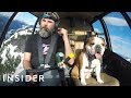 Adventurous Bulldog Is A Helicopter Copilot