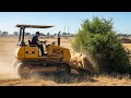 Powerful Bulldozer Clearing Wild Land Step by Step