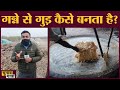 गुड़ बनाने में भिंडी के पेड़ का क्या काम, जानकारी हैरान करने वाली है? Jaggery Making Process