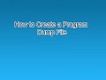 How to Create a Program Dump File