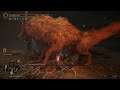 Elden Ring Boss 108/165: Red Wolf of the Champion - Knight Build (Full Fight)