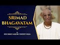 The Profound Potency and Importance of the Sankirtana Yajna I Sri Madhu Pandit Dasa I SB 4.13.25