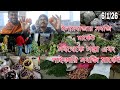 সবথেকে সস্তা এবং পাইকারি সবজি মার্কেট - biggest vegetable and fruit market in west bengal - 2026 