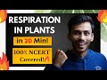 Respiration in Plants FAST One SHOT!🔥 | Full Revision in 20 Min | NCERT | Class 11 | NEET