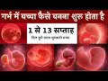 1 से 13 सप्ताह (1-3 महीनें) गर्भ में शिशु का विकास How A Baby Developed in 1 to 3 Month