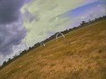 FPV Traing with X-Racer F303 v3.1 Betaflight 3.0.0