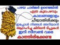 അമ്പമ്പോ! ഇതൊക്കെ നേരത്തെ അറിഞ്ഞിരുന്നെങ്കിൽ😱 ഒന്നും ചീഞ്ഞളിഞ്ഞു പോവില്ലാരുന്നു 💯Useful tips\u0026tricks