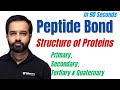 Protein | Peptide Bond | Levels of Protein Structure | Biomolecules | Class 12 Chemistry