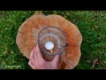 10 Amazing Science Experiments Compilation 2017.mp4 HD Video and Mp3 Download