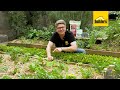 Tanya Visser Shows You How To Grow Healthy Veg The Natural Way