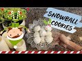 Snowball Cookie Recipe: Melt-in-Your-Mouth Holiday Bliss! ❄️