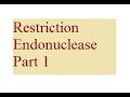 Restriction endonuclease | Restriction enzymes and Recombinant DNA | For B.Sc. and M.Sc.