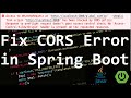 How to Fix CORS Error in Spring Boot | Cors Configuration | Cors Filter