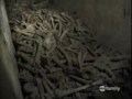 Man Gets lost in the Catacombs of Paris Part 2 of 2