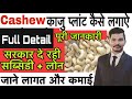 अपना काम शुरू करो Cashew nut processing | Cashew business | काजू प्रोसेसिंग प्लांट |