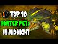 Top 10 New Hunter Pets Tamable in Midnight  - World of Warcraft