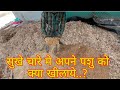 सुखे चारे मे अपने पशु को हम क्या दे सकते है....? What can we give to our animals in dry fodder…?