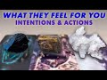 What They Feel for You 💜 Their Intentions  \u0026  Next Actions | Pick A Card • Tarot Reading • Timeless