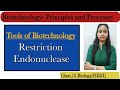 Restriction Endonuclease | Tools of rDNA Technology|Biotechnology- Principles and Processes|Class 12