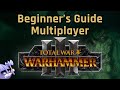 BEGINNERS GUIDE to MULTIPLAYER - Total War Warhammer 3 (2022)