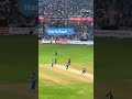 Haris Rauf flying planes again #cricket
