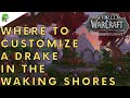 Dragonflight Where to customize a drake in The Waking Shores