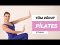 Practical Full Body Workout at Home in 10 minutes, No Equipment - Do it every day, get toned, sli...