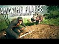 THE SAVANNA, BEST LOCATIONS, and MOVING CAMP - Ancestors: The Humankind Odyssey