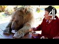 Breakfast With Your Pet Bear | Bear About The House: Me \u0026 My Supersized Pet
