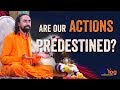 Are our Actions predestined? Is God the Doer?  MUST WATCH Explanation!