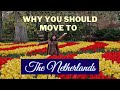 Why you should move to the Netherlands | Living in Netherlands | Indian expats in Netherlands