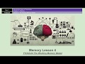 A-Level Psychology (AQA): Memory - The Working Memory Model