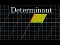 The determinant | Chapter 6, Essence of linear algebra