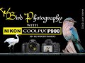 Bird Photography with Nikon Coolpix P900 | Birding with Nikon P900