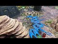 NEW Chaos Daemons (Demons) vs Necrons: Warhammer 40k Narrative Battle Report