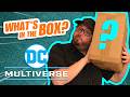 Unboxing Surprise McFarlane Toys DC Multiverse Samples! What's in the Box?!