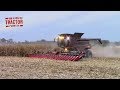 24 Row Corn Head by Geringhoff