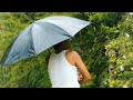 A Nature Film-by Ankur Ayan Goswami | Cinematic Video |Amazing Nature|2019