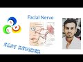 Facial nerve part2