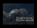Golden Hippopotamus – No Damage | Elden Ring Shadow of the Erdtree Boss Fight (4K 60FPS)